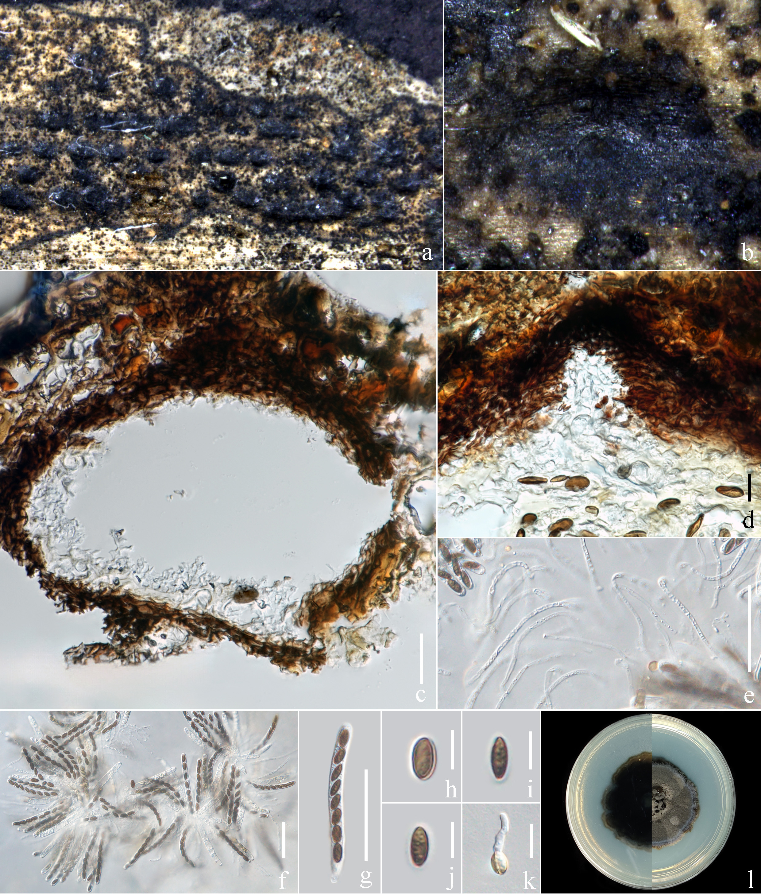 Figure 128